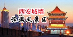 男生和女生插插插的软件大全中国陕西-西安城墙旅游风景区